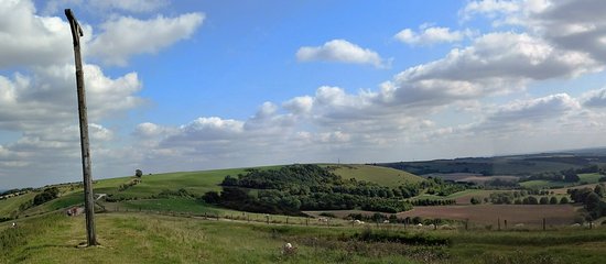 IMG_1557