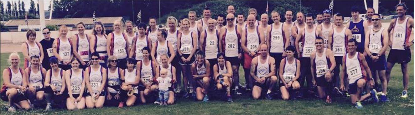 bradin 10k